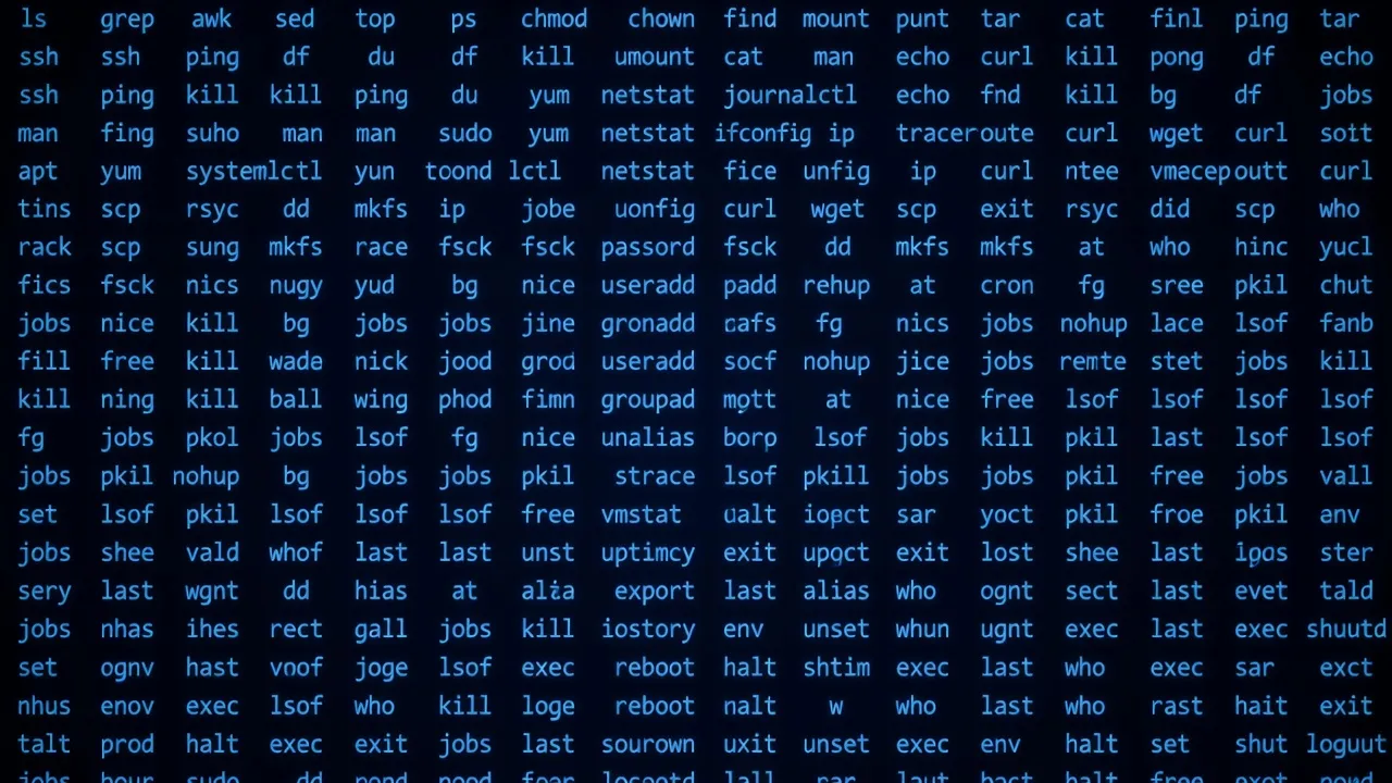 Linux terminal showing list of essential commands